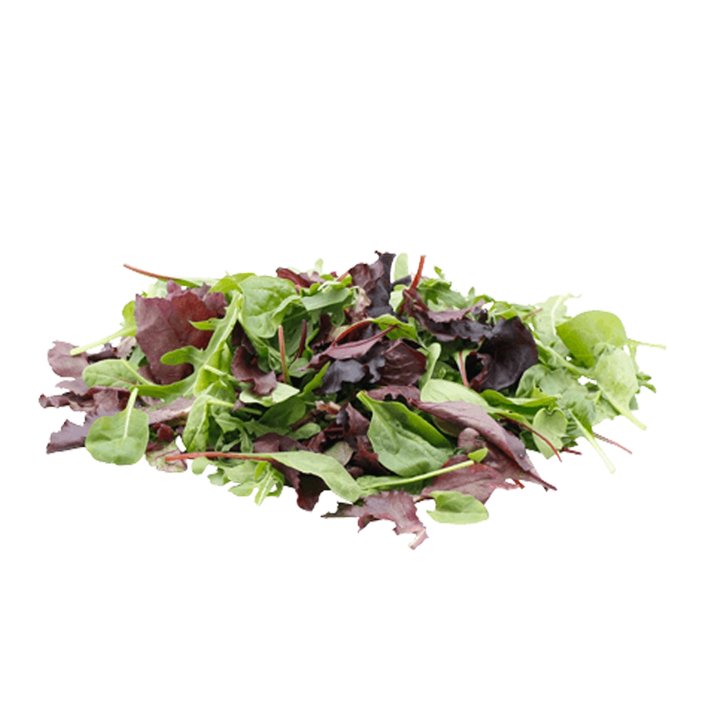 Grønn salat