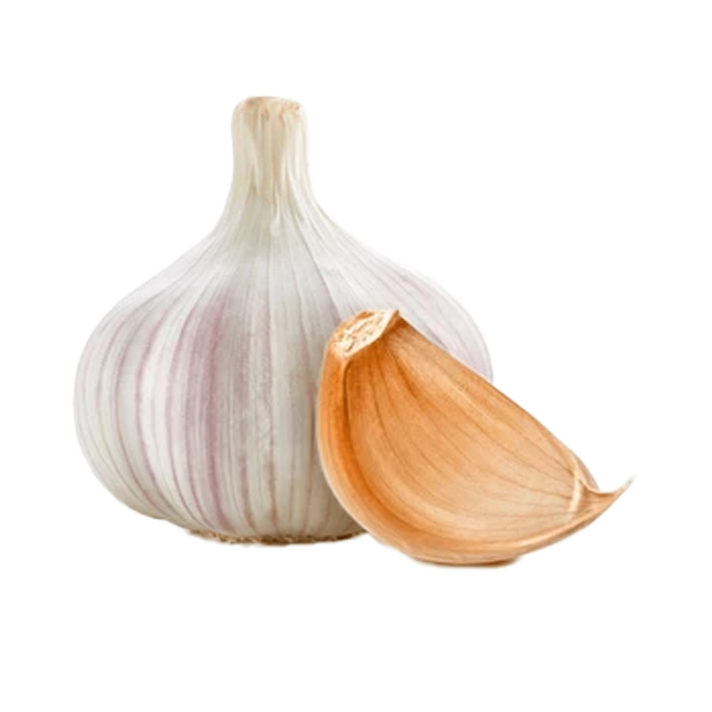 Hvitløk