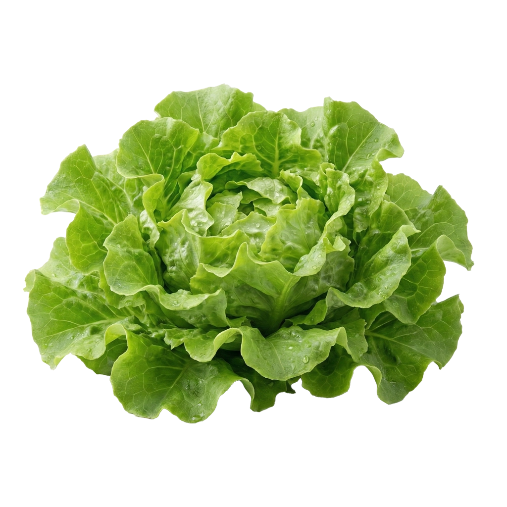 Vegetar